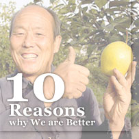 10 Reason Why Aim Thai is Better